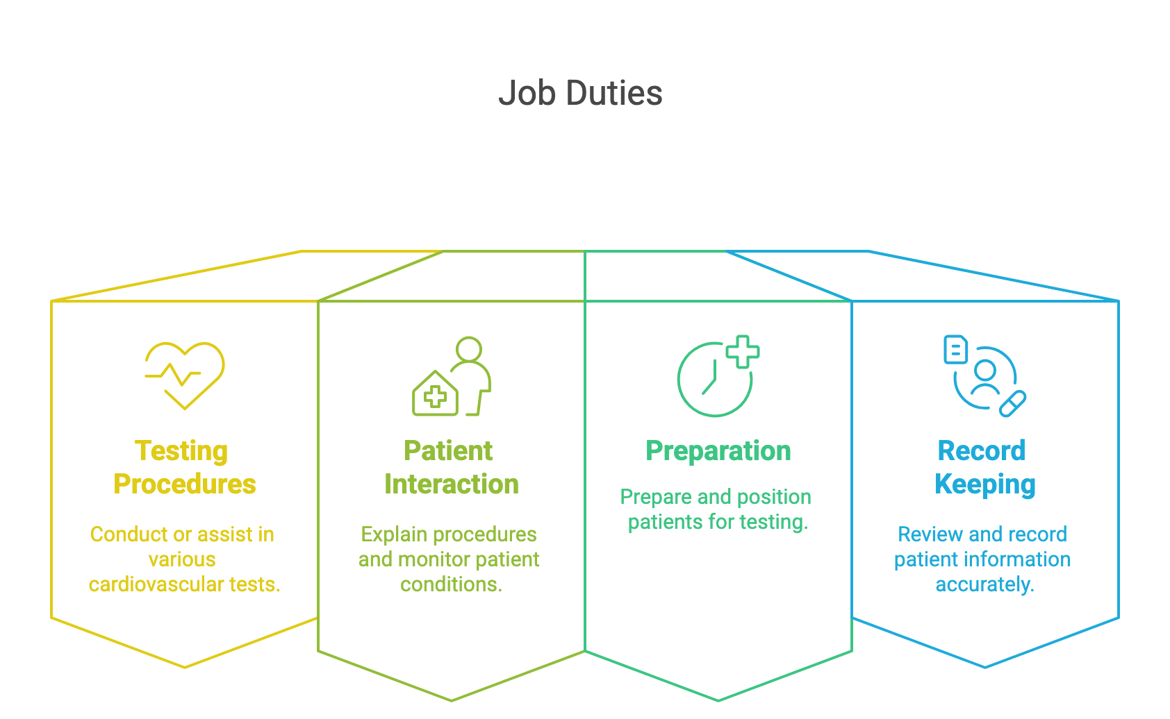 Infographic of cardiovascular technologist duties: testing, patient interaction, patient preparation and record keeping