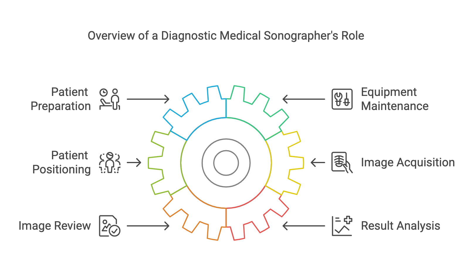 Gear diagram of diagnostic medical sonographer tasks, from patient preparation to image acquisition and result analysis