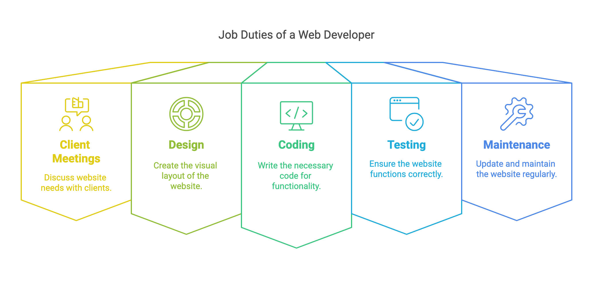 Infographic of web developer job duties: client meetings, design, coding, testing and website maintenance